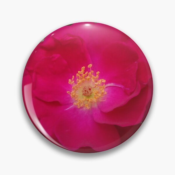 Item preview, Golden Stamen Rose  designed and sold by scholara.