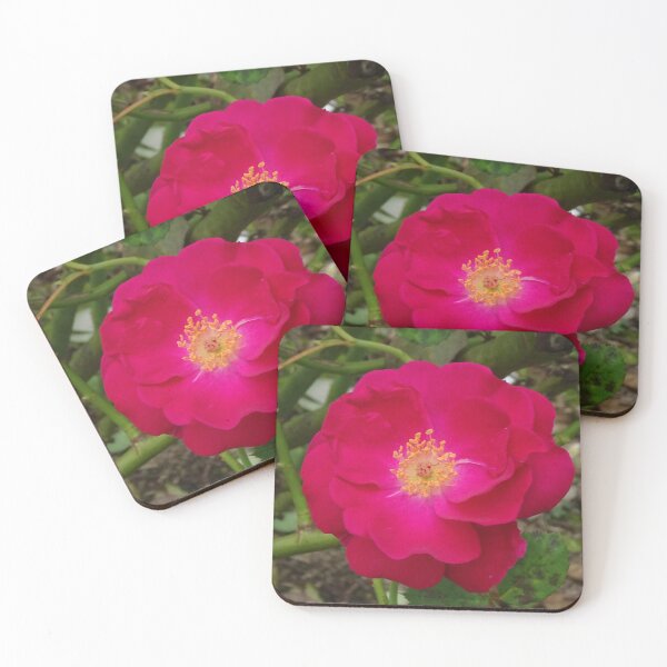Item preview, Golden Stamen Rose  designed and sold by scholara.