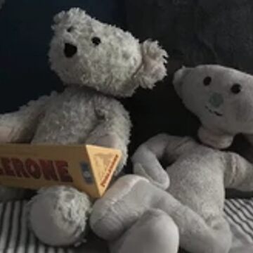 Sam Bear Alpha  MercadoLivre 📦