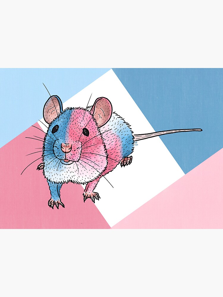 Trans pride | Art Board Print