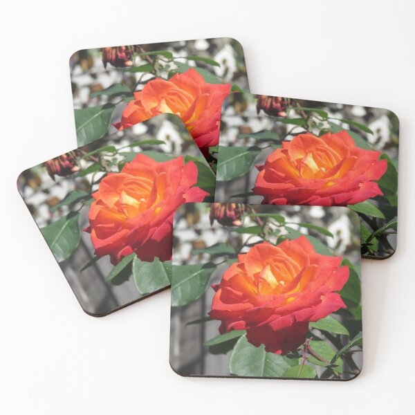 Item preview, Flame red rose designed and sold by greentiger1.