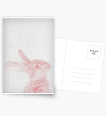 Rabbit 07 Postkarten