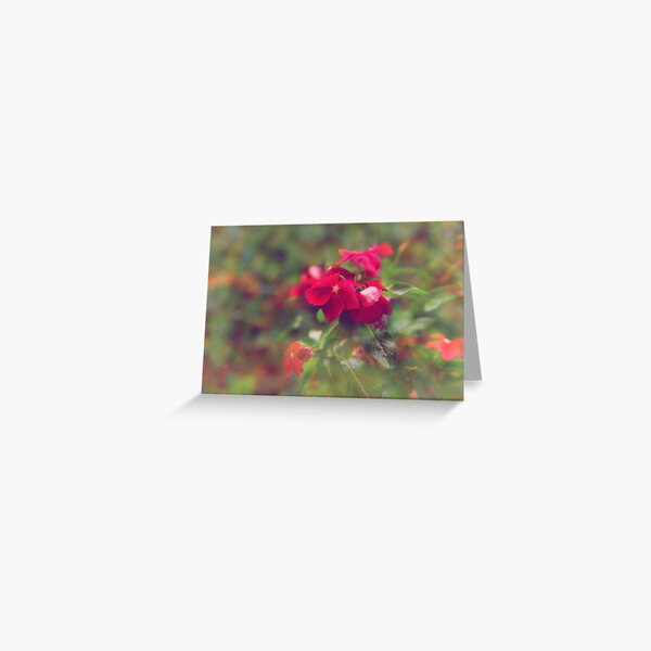 flowers Greeting Card