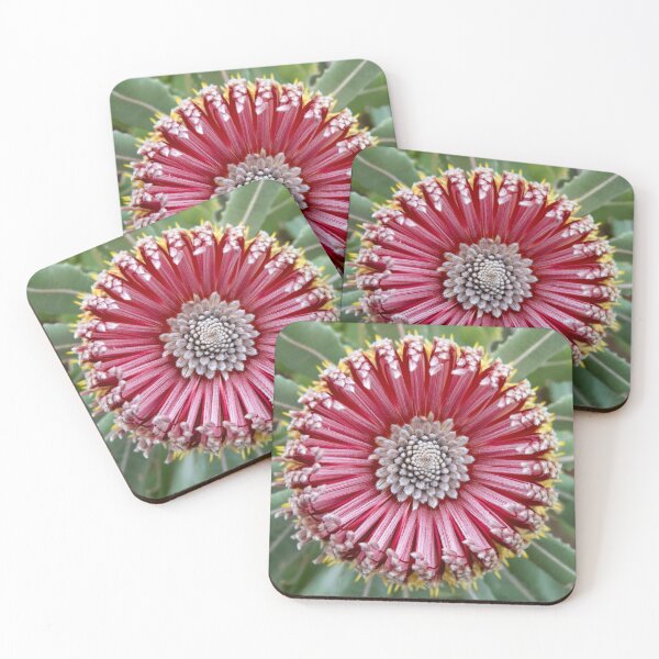 Item preview, Firewood Banksia Beauty designed and sold by SallyB.Photography.
