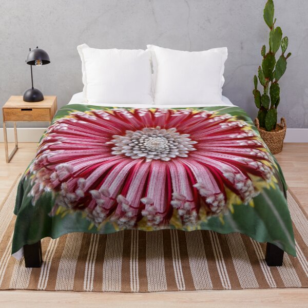 Item preview, Firewood Banksia Beauty designed and sold by SallyB.Photography.