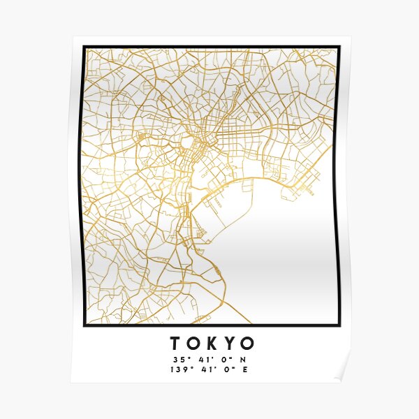 TOKYO JAPAN CITY STREET MAP ART Poster