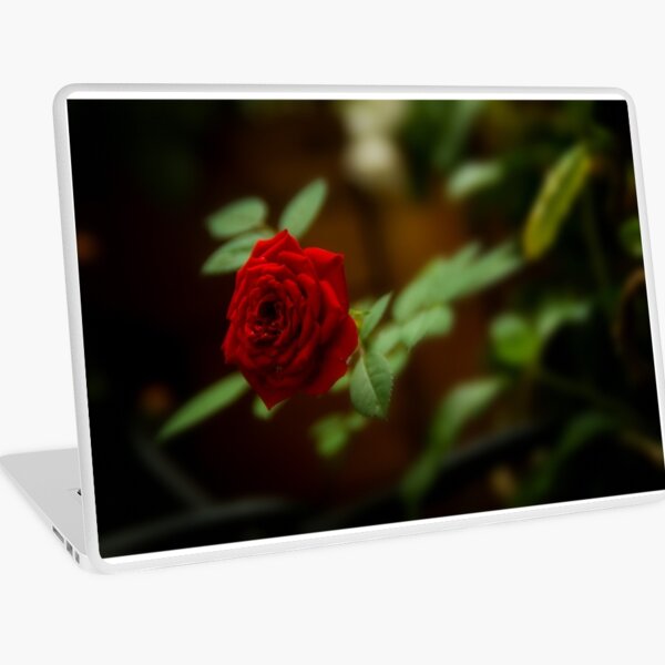 small red rose Laptop Skin