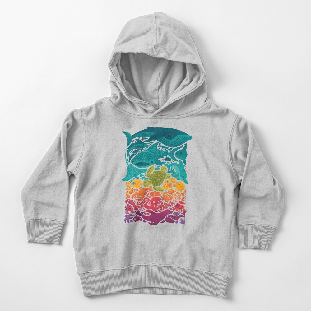 Aquatic Spectrum Toddler Pullover Hoodie