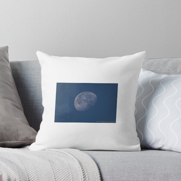 Aperçu de l'œuvre The Moon Early Morning October 12, 2014 créée et vendue par BLaskowsky.