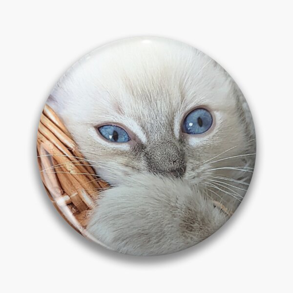 Item preview, Copy of Lynx ragdoll kitten designed and sold by Fluffycat2020.