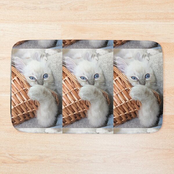 Item preview, Copy of Lynx ragdoll kitten designed and sold by Fluffycat2020.
