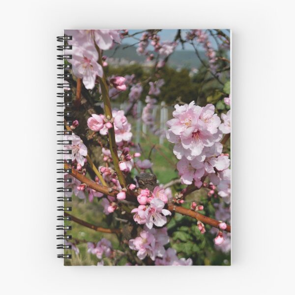 Item preview,  Almond blossoms designed and sold by GOSIA GRZYBEK.