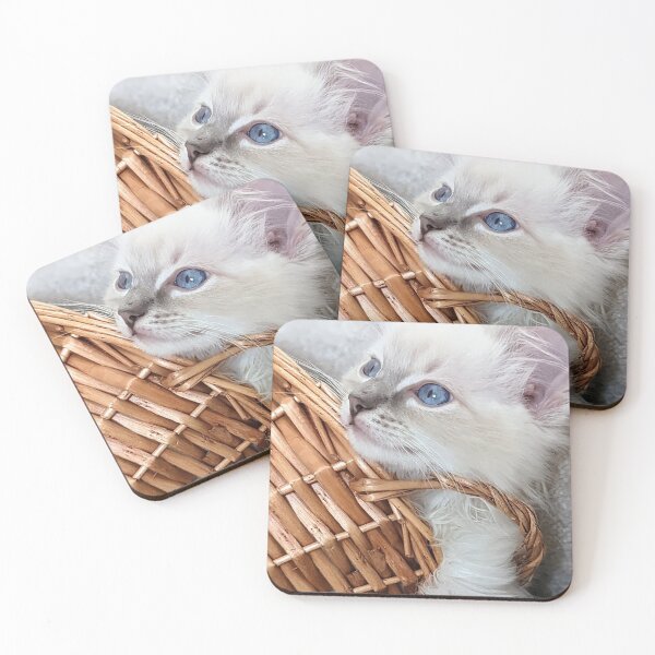 Item preview, Copy of Lynx ragdoll kitten designed and sold by Fluffycat2020.