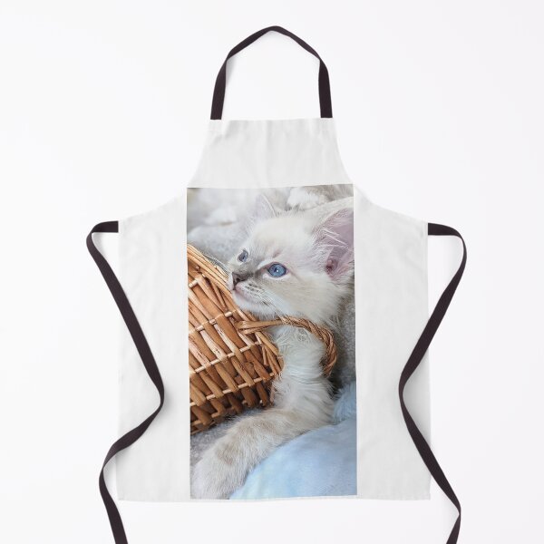 Item preview, Copy of Lynx ragdoll kitten designed and sold by Fluffycat2020.