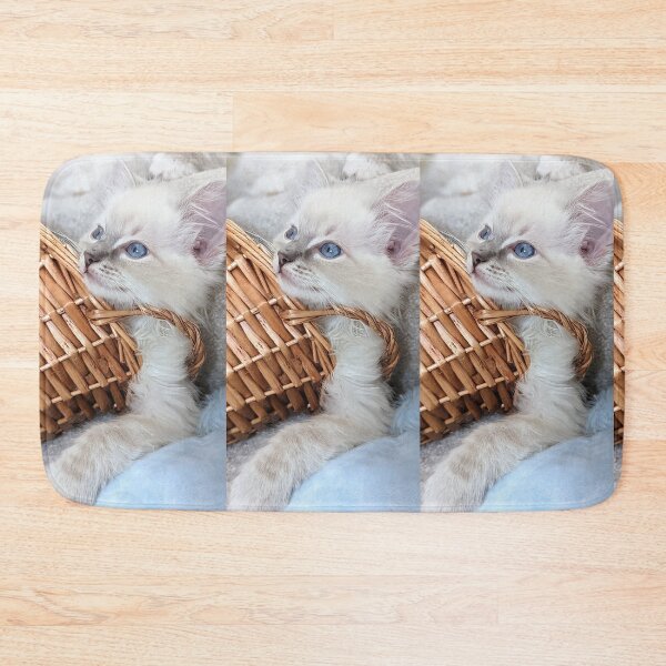 Item preview, Copy of Lynx ragdoll kitten designed and sold by Fluffycat2020.