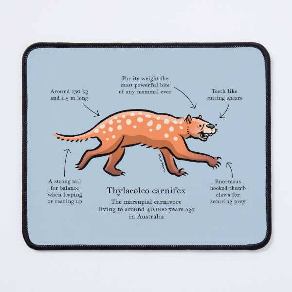 Item preview, Thylacoleo carnifex the marsupial lion designed and sold by Richard Morden.