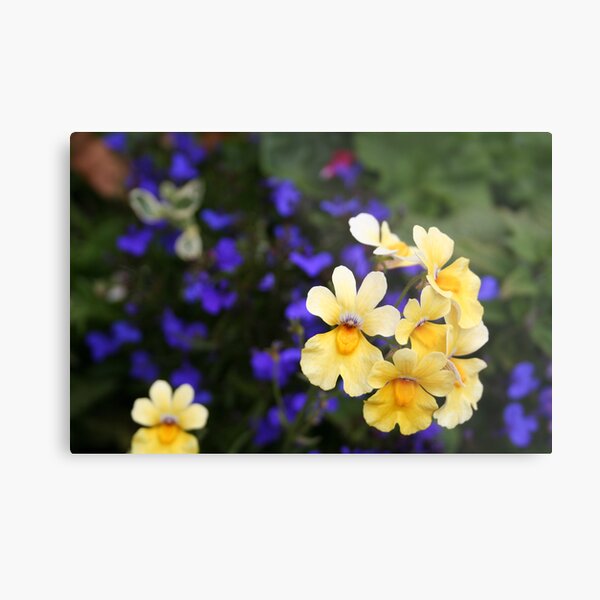 blink Metal Print
