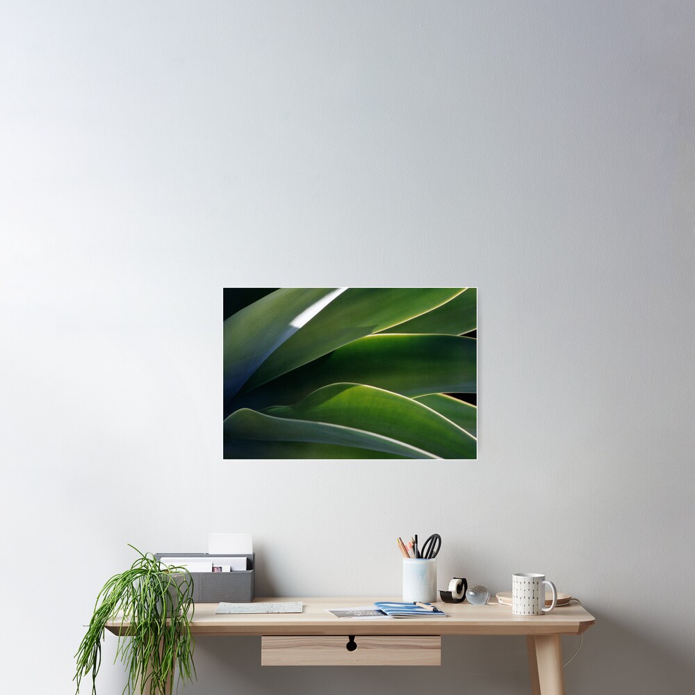 Succulent Poster
