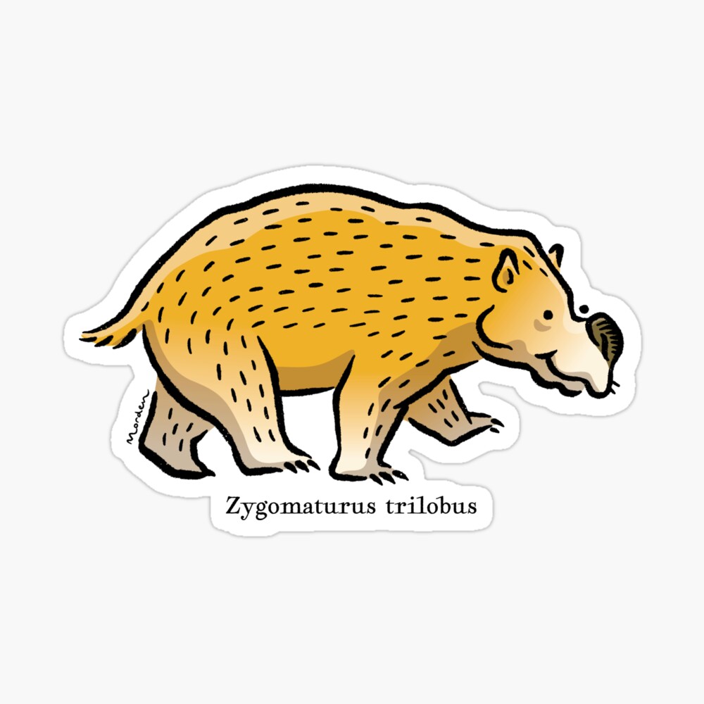 Zygomaturus the prehistoric giant marsupial