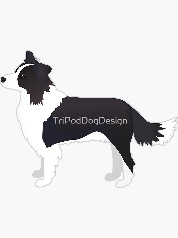 Thumbnail 3 of 3, Sticker, Border Collie Black Dog Breed Illustration Silhouette designed and sold by TriPodDogDesign.