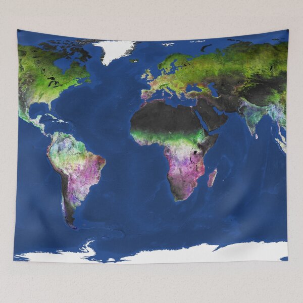 Item preview, Global map of land-cover dynamics (satellite images) designed and sold by Raureif.