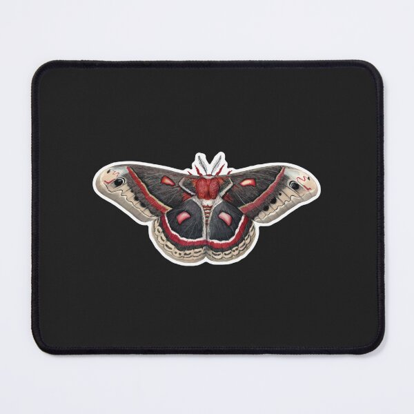 Item preview, Cecropia Silkmoth designed and sold by KarlWetzel.