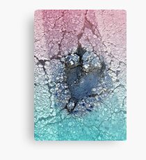 Beauty In The Broken Ground Metal Print