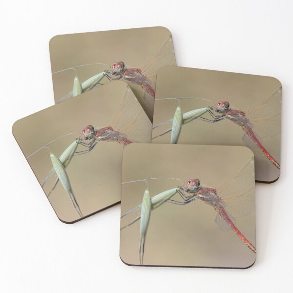 Item preview, Red Veined Darter designed and sold by LaurenTucker.