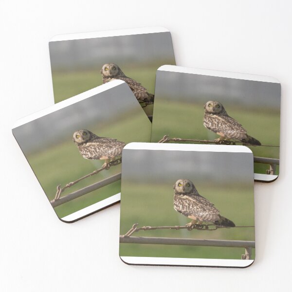 Item preview, Búho campestre designed and sold by LaurenTucker.