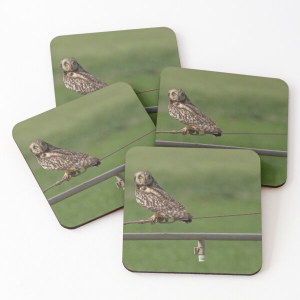 Item preview, Short Eared Owl designed and sold by LaurenTucker.