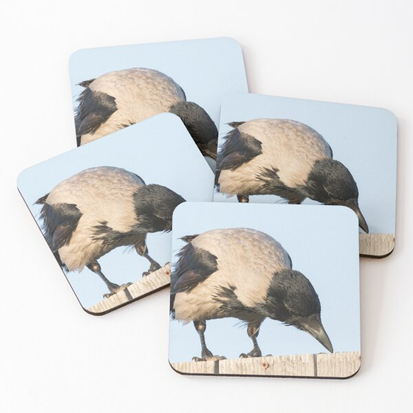 Item preview, Hooded Crow designed and sold by LaurenTucker.
