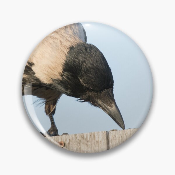 Item preview, Hooded Crow designed and sold by LaurenTucker.