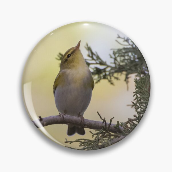 Item preview, Wood Warbler designed and sold by LaurenTucker.