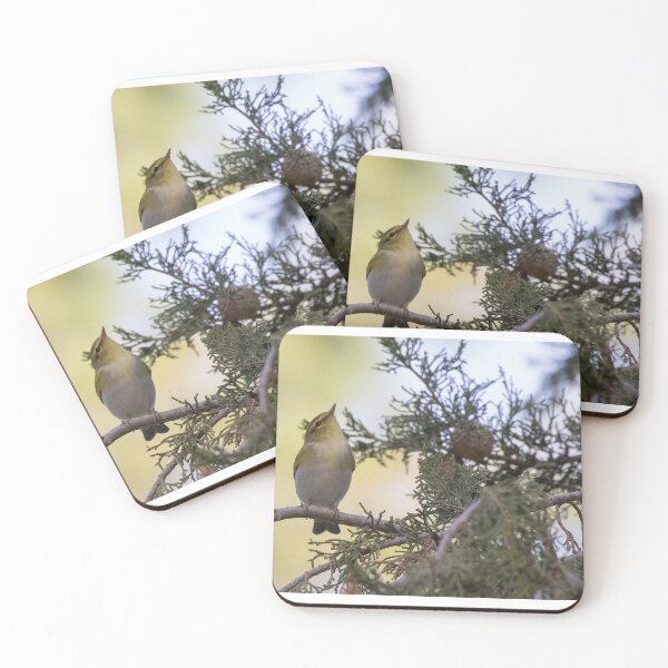 Item preview, Wood Warbler designed and sold by LaurenTucker.