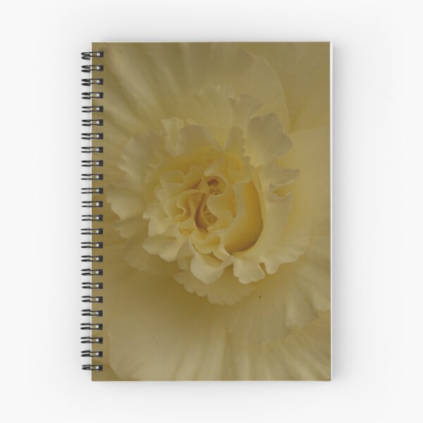 Item preview, Begonia Festival 17 designed and sold by beeden.