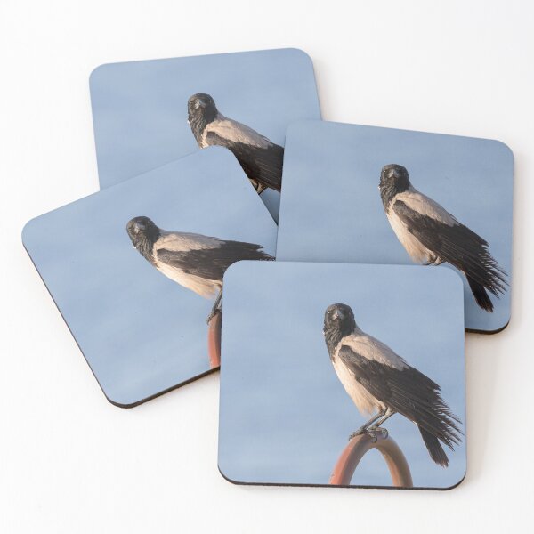 Item preview, Hooded Crow designed and sold by LaurenTucker.