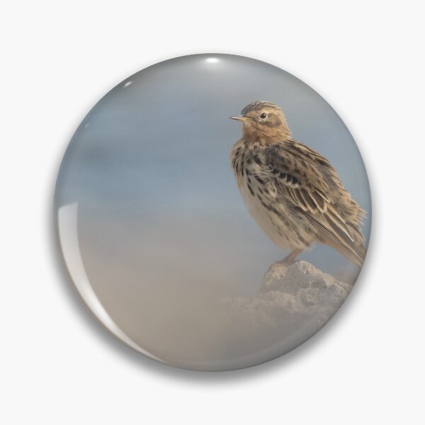 Artikelvorschau, Red Throated Pipit entworfen und verkauft von LaurenTucker.