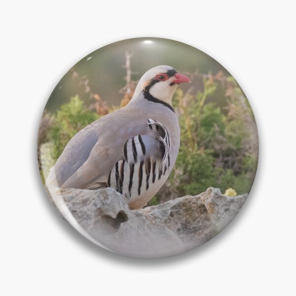 Item preview, Chukar designed and sold by LaurenTucker.