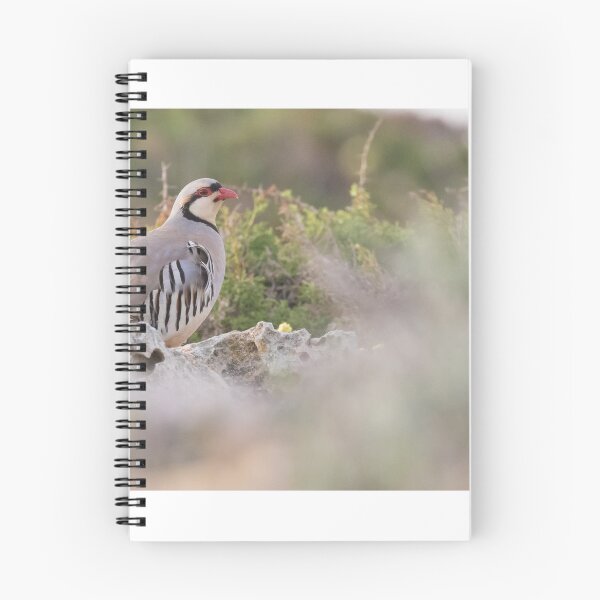 Item preview, Chukar designed and sold by LaurenTucker.