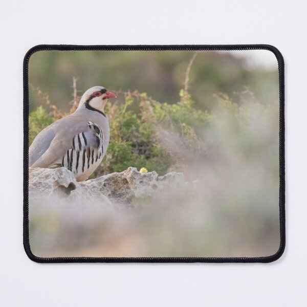 Item preview, Chukar designed and sold by LaurenTucker.