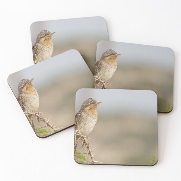 Artikelvorschau, Wryneck entworfen und verkauft von LaurenTucker.