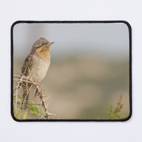 Item preview, Wryneck designed and sold by LaurenTucker.