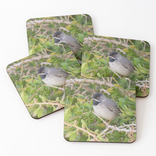 Item preview, Ruppell's Warbler designed and sold by LaurenTucker.