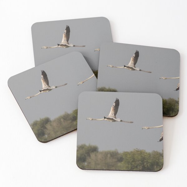 Item preview, Greater Flamingo designed and sold by LaurenTucker.