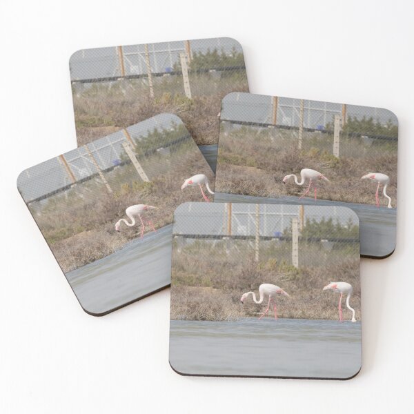 Item preview, Greater Flamingo designed and sold by LaurenTucker.
