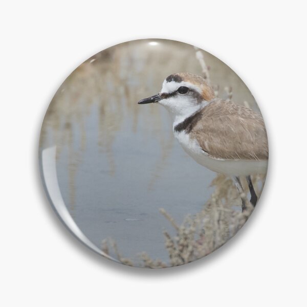 Item preview, Kentish Plover designed and sold by LaurenTucker.