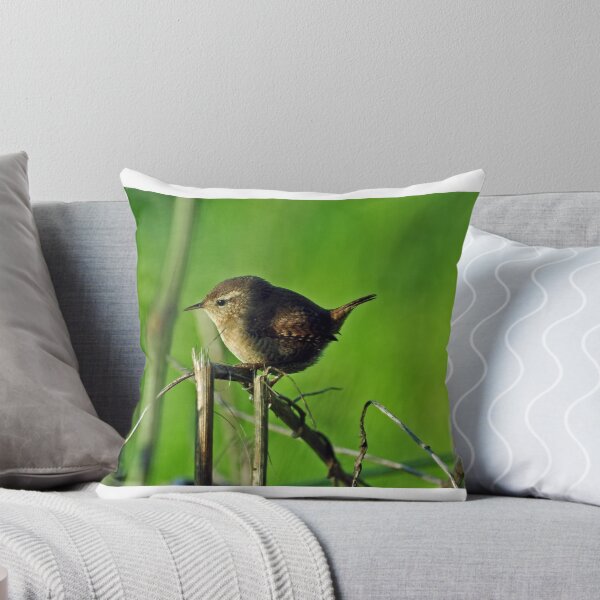 Item preview, Wren designed and sold by Russell Couch.
