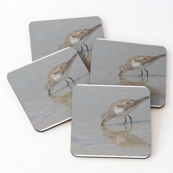 Item preview, Little Stint designed and sold by LaurenTucker.