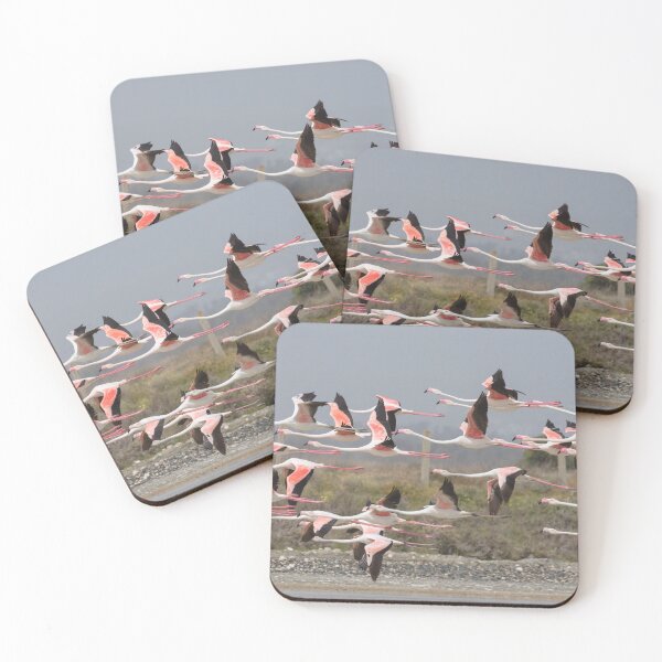Item preview, Greater Flamingo designed and sold by LaurenTucker.