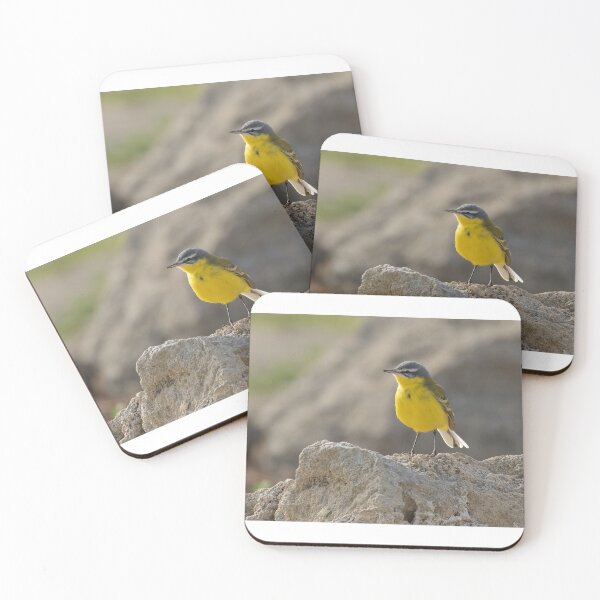Item preview, Blue Headed Wagtail designed and sold by LaurenTucker.